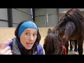 Day 24 ll Girthing up a wild horse, Australian Brumby Challenge, Lara Beth and Cooper