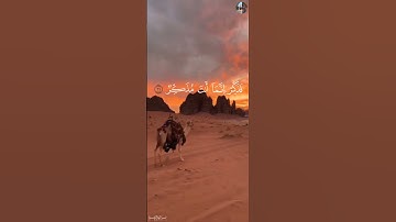 أَفَلَا يَنظُرُونَ إِلَى ٱلۡإِبِلِ كَيۡفَ خُلِقَتۡ - عبدالرحمن مسعد [ سورة الغاشـيـة , ١٧ - ٢٦ ]