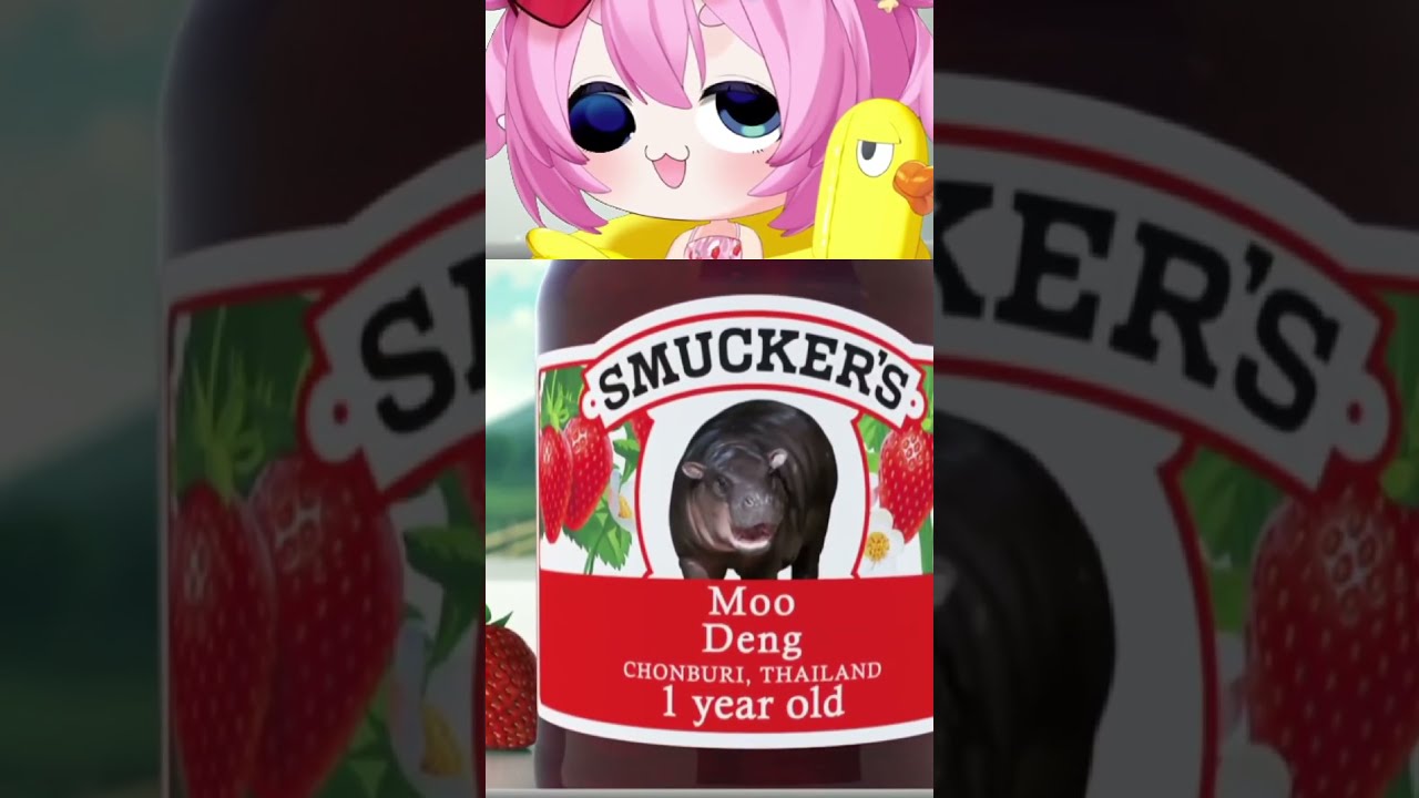 WHAT DID THEY DO TO MOODENG Shorts Chibidoki Vtuber
