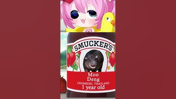 WHAT DID THEY DO TO MOODENG?! #shorts #chibidoki #vtuber