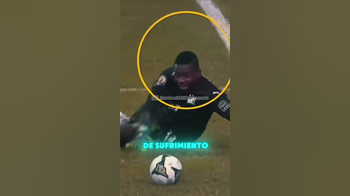 goalkeepers who had to be investigated after the error in the game