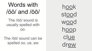 Fluency Passage 7.11 The Big Snow - Accuracy & Words with /ŏŏ/ and /ōō/