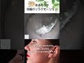 【耳掃除】3ヶ月ぶりのドリルネジさん 無職になったらお耳きれいになっちゃった?? #イヤーエステ #耳掃除 #eariss #イヤーエステ #耳掃除 #耳かき動画