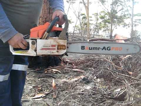 Baumr-Ag PRO SX62 62cc 22in bar Chainsaw Startup