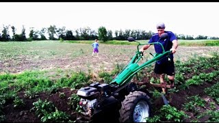 🛑Підгортання Картоплі🚜Мотоблок із бензиновим двигуном💪Плюси та Мінуси😎