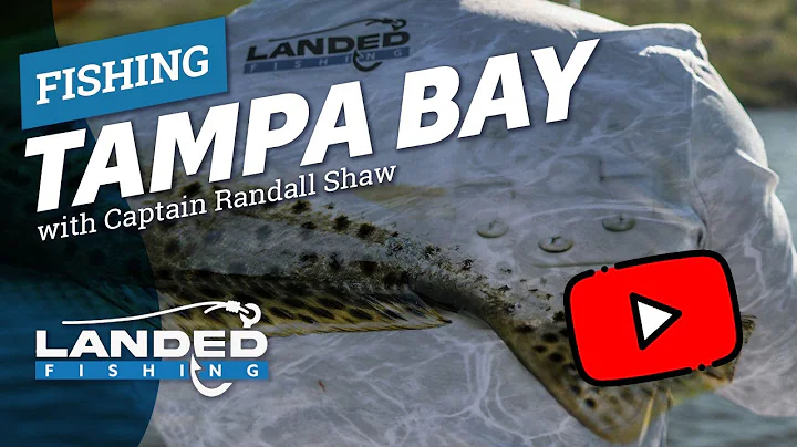 Fishing Tampa Bay Sheepshead/ Speckled Trout - Lan...