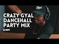 Crazy Gyal Dancehall Party Mix #2 (Vybz Kartel, Konshens, Aidonia)