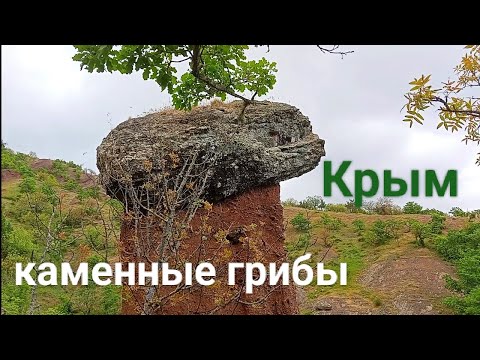 #Крым Каменные грибы