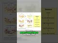 Overview of Wound Healing Time Lapse and Cellular Reactions: Road Map to Biomaterials Engineering