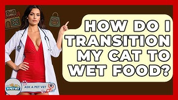 How Do I Transition My Cat To Wet Food? - Ask A Pet Vet