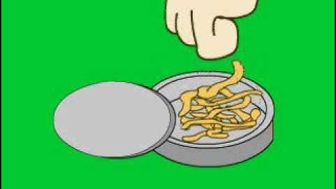 The Early Worm Cartoon Flash Animation