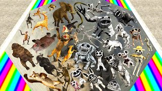 ☠️ SPIKES ALL ZOONOMALY MONSTERS FAMILY VS REAL ANIMALS SPARTAN KICKING in Garry's Mod !