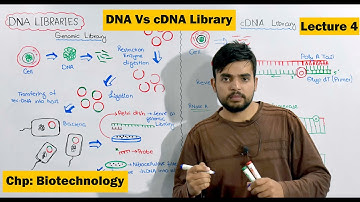DNA Libraries | Genomic and cDNA Library | Video 4