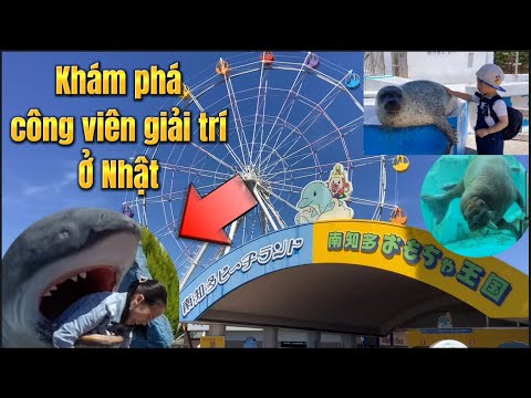 Video Thủy cung Minami chita | Minami chita beach land Aichi... - youtube