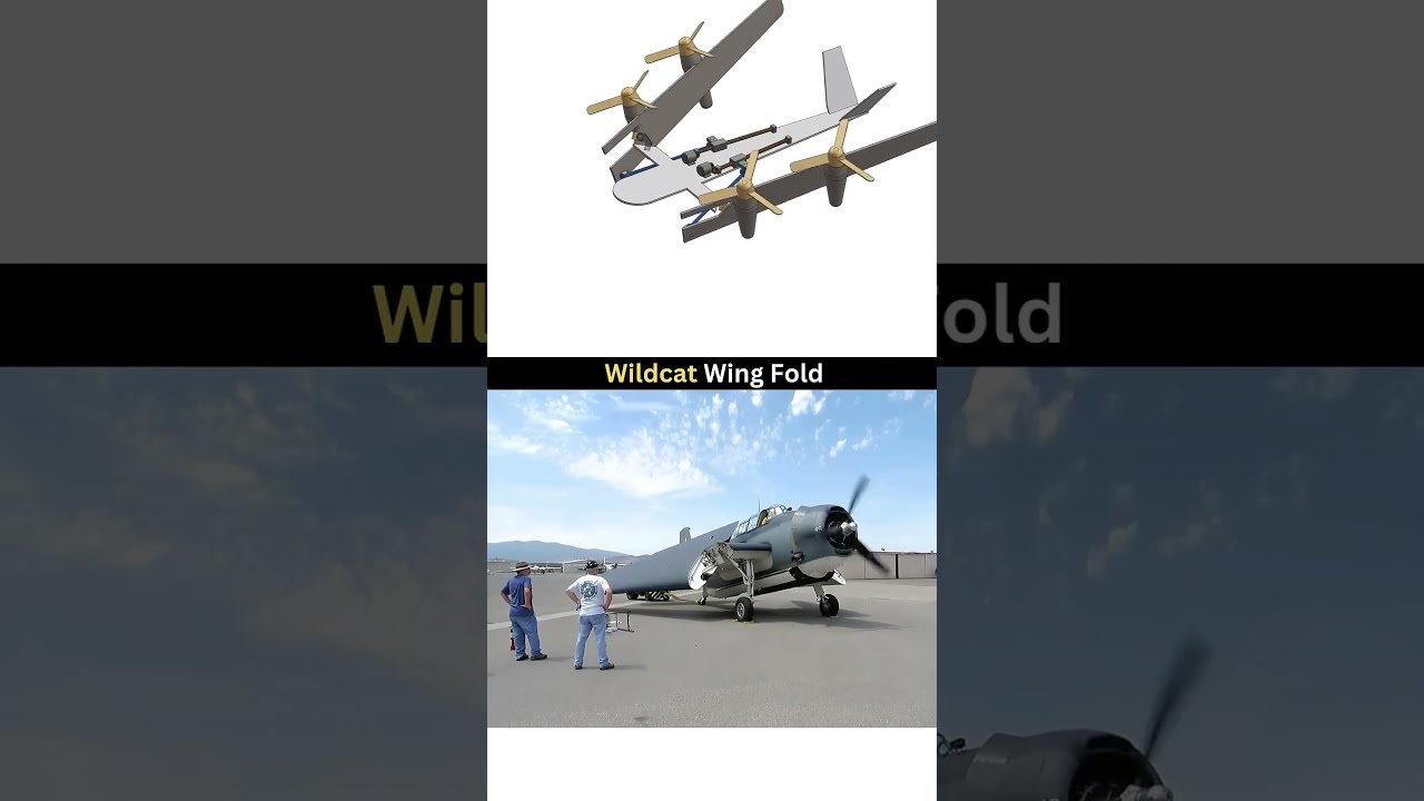 Wildcat Wing Fold 