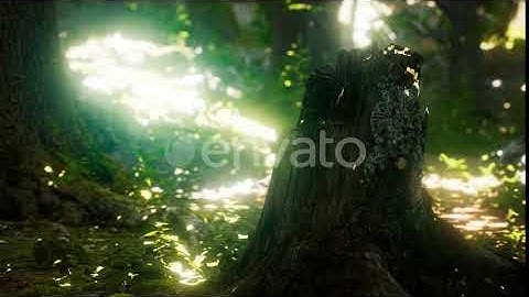 Sunlight Rays Pour Through Leaves in a Rainforest | Motion Graphics - Envato elements