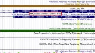 Video 1 - NM_000350.3(ABCA4):c.2626C-T p.(Gln876Ter)