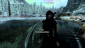 Skyrim - Water Glitch