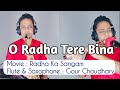 Oh radha tere bina  movie radha ka sangam  instrumental cover  flute   saxophone by gour