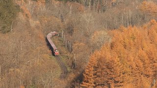 貨物列車－石北本線－玉ねぎ列車 vol. 4