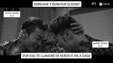 SUPER JUNIOR DONGHAE & EUNHYUK GLOOMY SUB ESPAÑOL MV