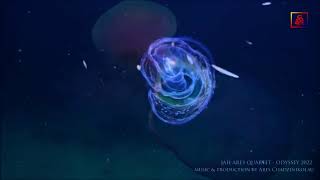 JAH ARES QUARTET - ODYSSEY 2022 (offiicial video) #newjazzalbum #sooncome screenshot 3