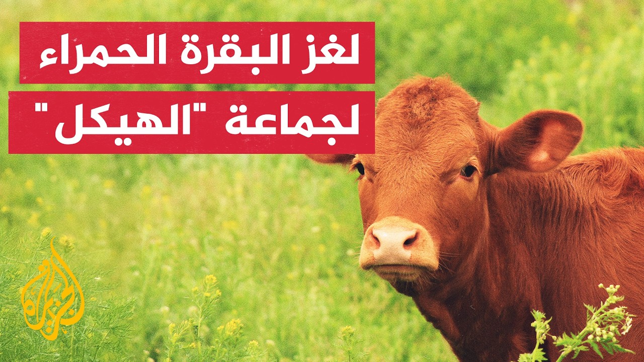 ����� ���� ������ ������� ��� ����� ��������� ��� ������ ������
 - نشر قبل 15 دقيقة