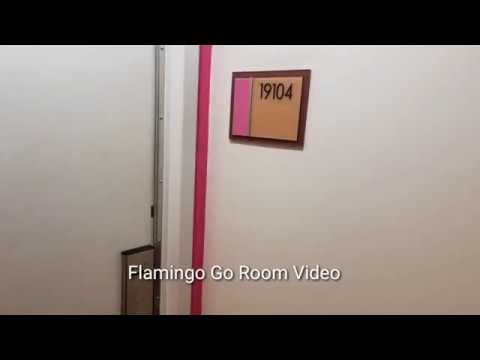 Flamingo Hotel Go Rooom camera iphone 8 plus apk