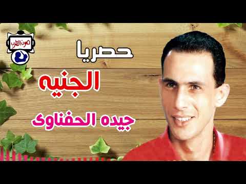 جيده الحفناوى الجنيه