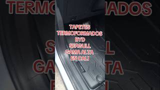 TAPETES TERMOFORMADOS BYD SEAGULL GAMA ALTA EN CALI 3D