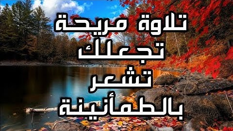سورة محمد كاملة|تلاوة شجية تخشع لها القلوب والأبدان ❤ تلاوة هادئة 🎧