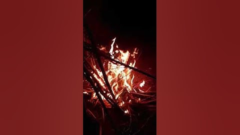 Beauty of camp fire with music #short #video #campfire