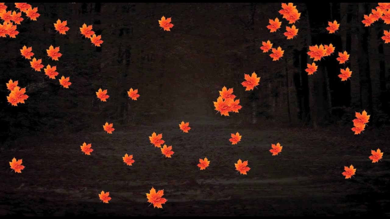 particular after effects mac particular after effects mac