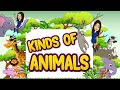 Kinds of animals  science  kindergarten  animals  teacher beth class tv