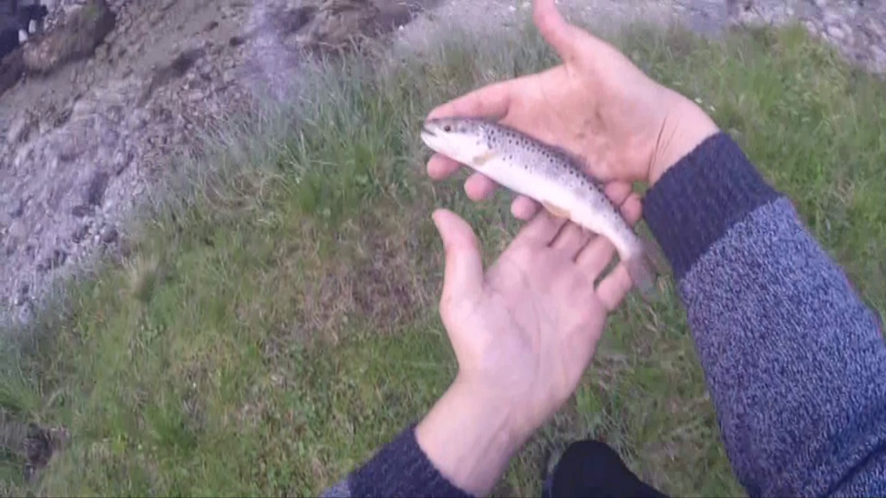 fishing paradiso fishing paradiso