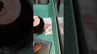 Lady That Initially Disapproved of Dog Grows Fond While Petting It