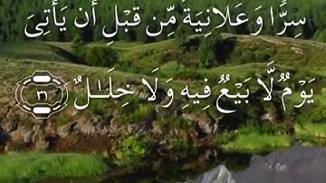 سورة ابراهيم صفحة ٢٥٩ مكتوبة مكررة بصوت سعد الغامدي
