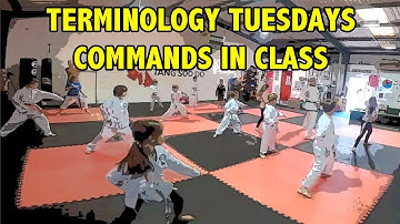 Terminology  Part 11 - Commands in Class