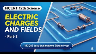 ScholarHive – NCERT MCQs & Notes ScholarHive: NCERT Extra Questions & Preparation