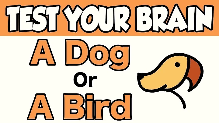 13 ILLUSIONS THAT WILL TEST YOUR MIND