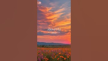 تلاوة مؤثرة | #تلاوة_هادئة #quran #اذكار #قران_كريم #قرآن #راحة_نفسية #تلاوة_خاشعة #تلاوة_مؤثرة #آية