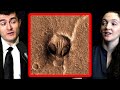 Are there aliens on Mars? | Ariel Ekblaw and Lex Fridman