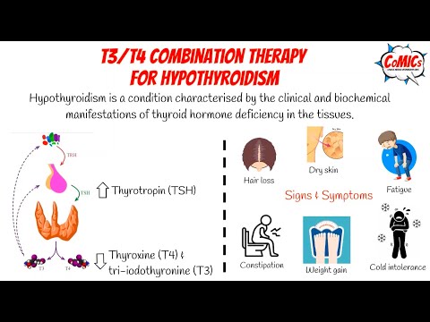 CoMICs एपिसोड 18: हाइपोथायरायडिज्म के लिए T3/T4 संयोजन चिकित्सा
