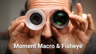 видео: Обзор объективов Moment T-Series Macro & Fisheye Lens от rbl.studio картинка: Обзор объективов Moment T-Series Macro & Fisheye Lens от rbl.studio