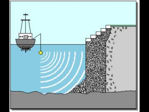 Vídeo: Per Què Cal Emblanquinar Els Troncs Dels Arbres?