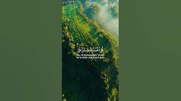 تلاوة عطرة من سورة النمل بصوت الشيخ ياسر الدوسري #ياسر_الدوسري #تلاوة_خاشعة #قرآن #quran #أذكار