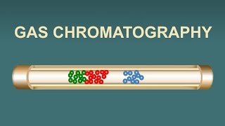 Gas Chromatography (IQOG-CSIC)