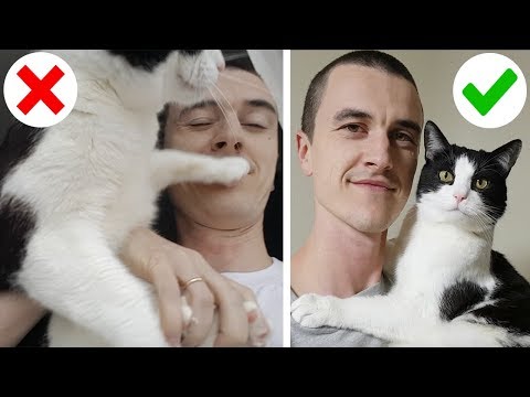 Video: Cara Mengambil Foto Di Cat