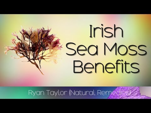 Irish Sea Moss: Benefits and Uses