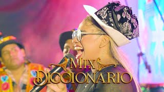 Claveles de la Cumbia - Mix Diccionario ( en vivo )